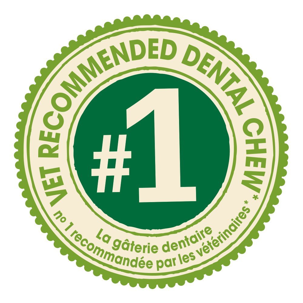 Vet Dog Dental Chews Dog Treat Smart