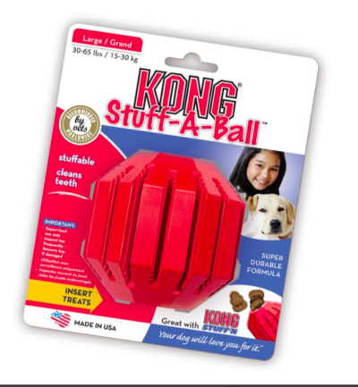 Kong chew toy for dogs