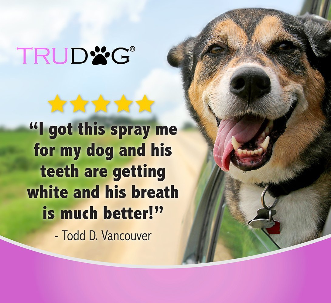 Dog Breath Spray Veterinarian Approved Dog Treat Smart