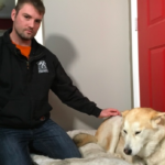 dog news Canadian hero