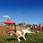 the great bundle dog race 2017