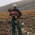 dog news dog rescue