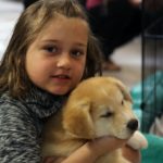 dog-news-puppy-fundraiser