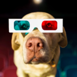 dog_news_Movie