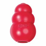 Kong_chew_toy
