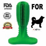 pineal_dog_rubber_toothbrush