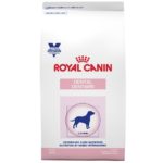 royal_cain_dog_dental_dry
