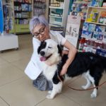 dog -pharmacy