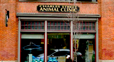 Charles Street Animal Clinic
