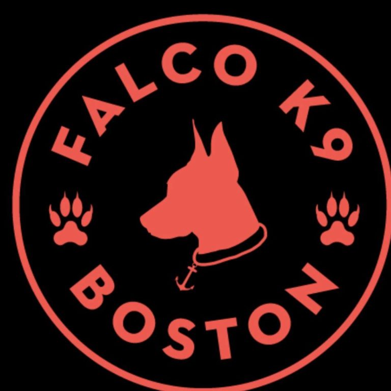 FalcoK9 768x768