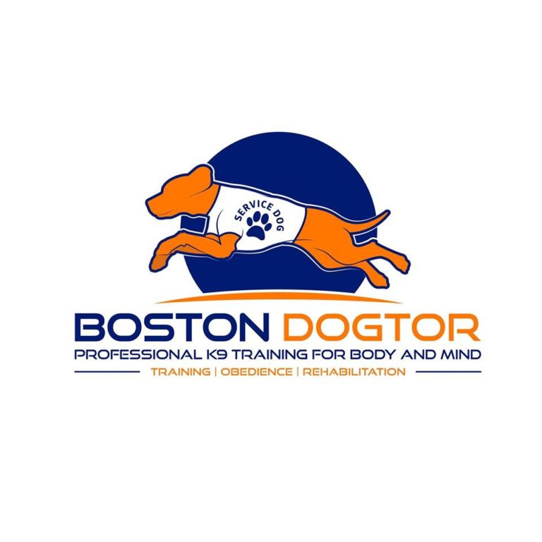 bostondogtor 768x768