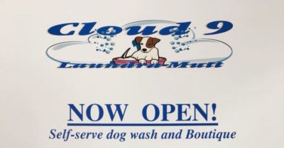 cloud9mutt