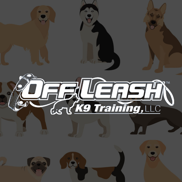 offleashK9