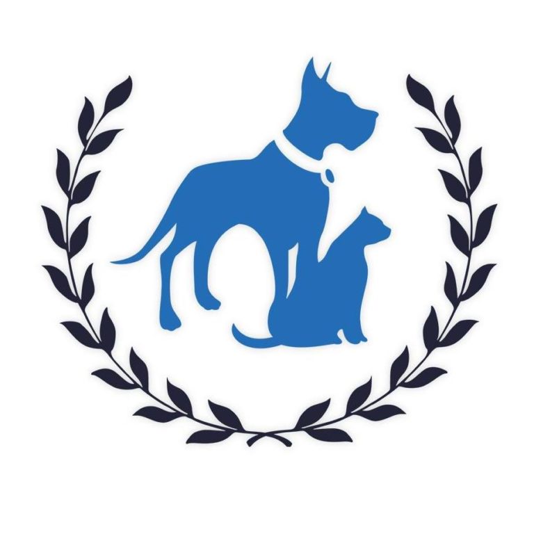 Bostonbestdogwalker 768x768