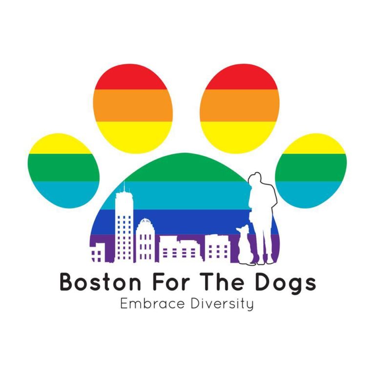Bostonforthedog 768x768