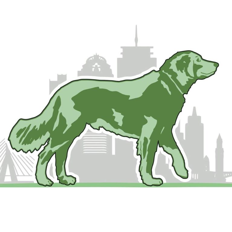 bostonfetch 768x768