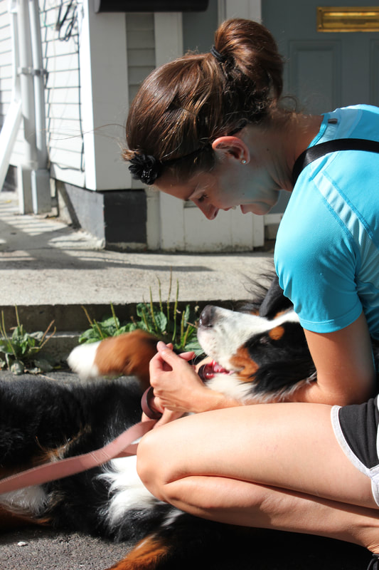 dogwalkingdo