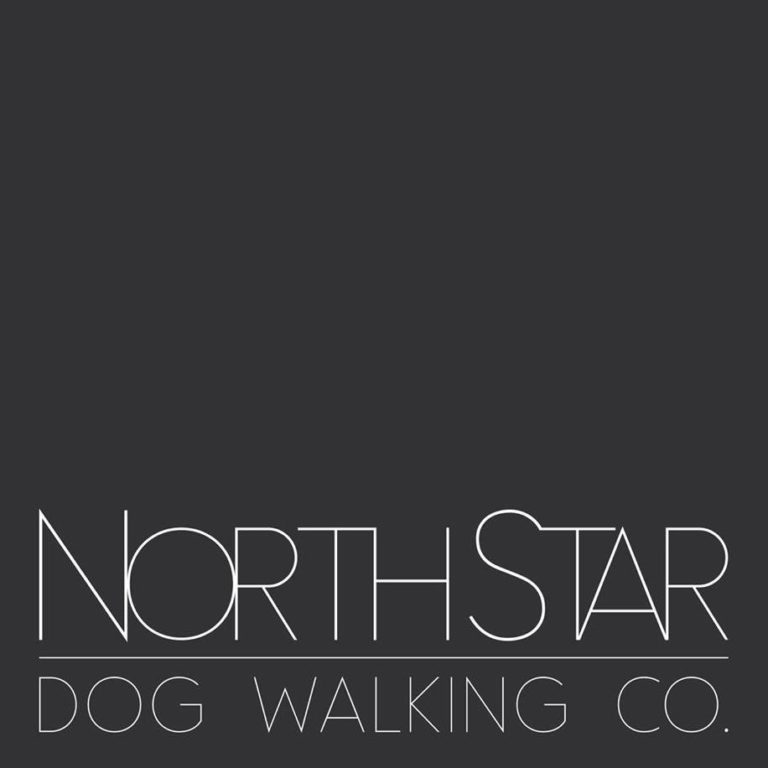 northstar 768x768