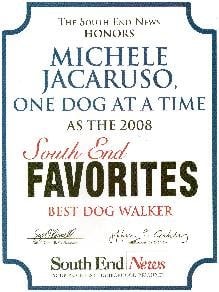 onedogatatime