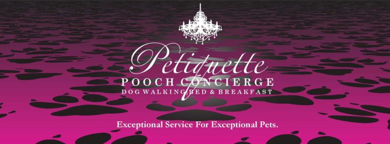 pooch 768x284