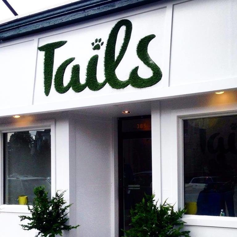 tailsJM 768x768