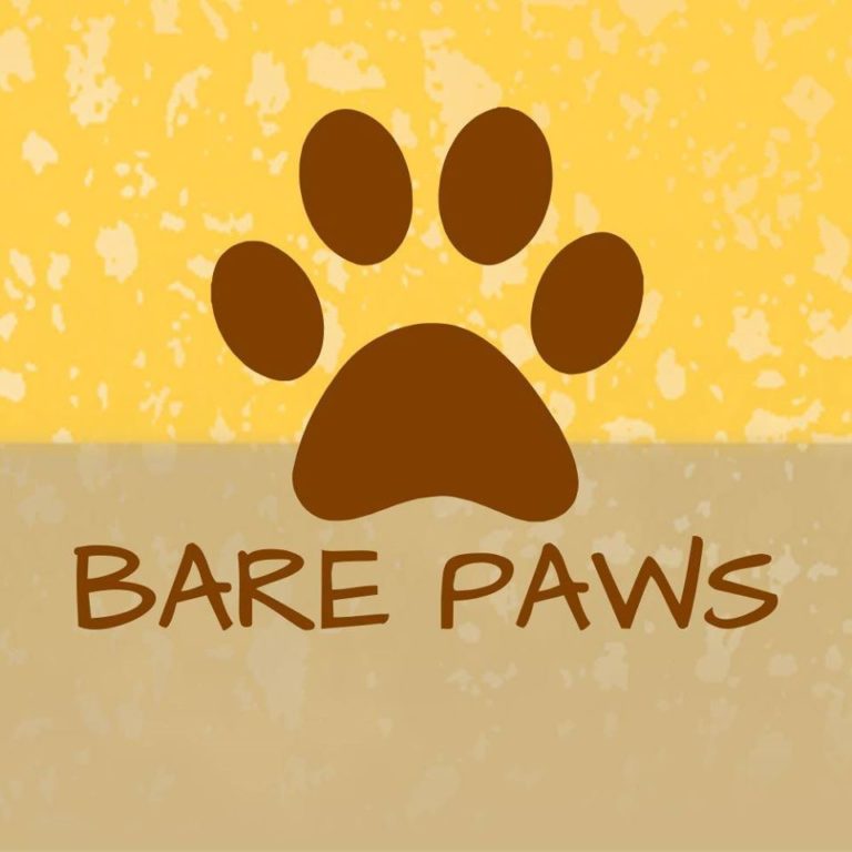 BArePaw 768x768
