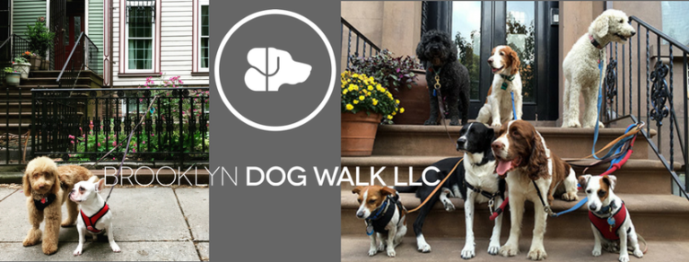 BrooklynDogWalking 768x292