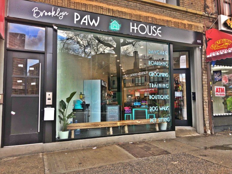 brooklypawhouse 768x576