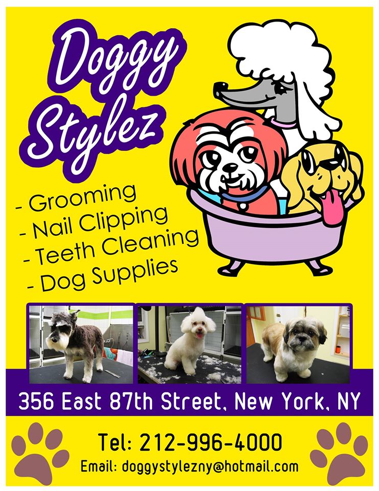 Doggy Stylez Grooming Dog Treat Smart