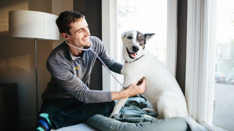 fuzzypethealth 768x432