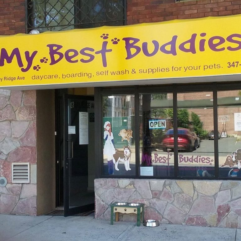 mybestbuddies 768x768