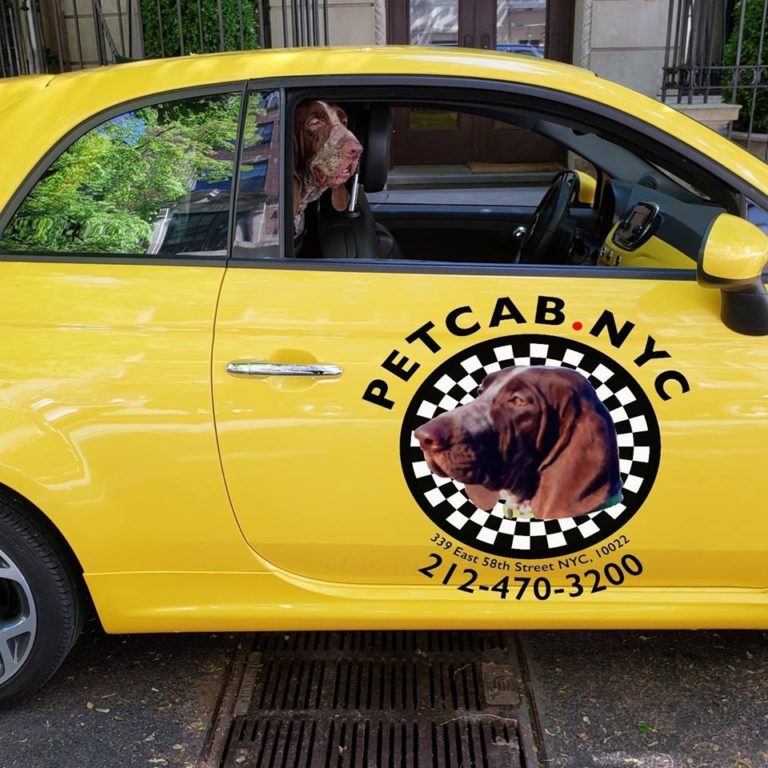 Pet Cab NYC Dog Treat Smart