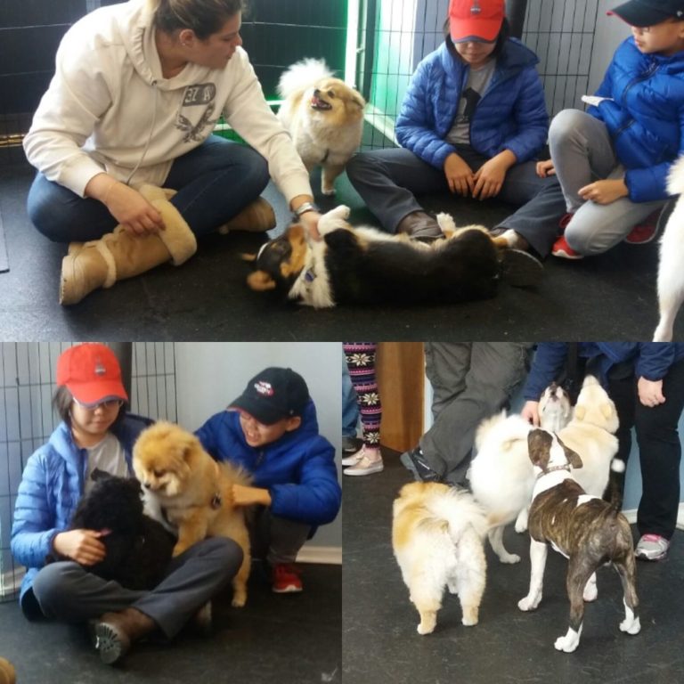 trainingschool 768x768