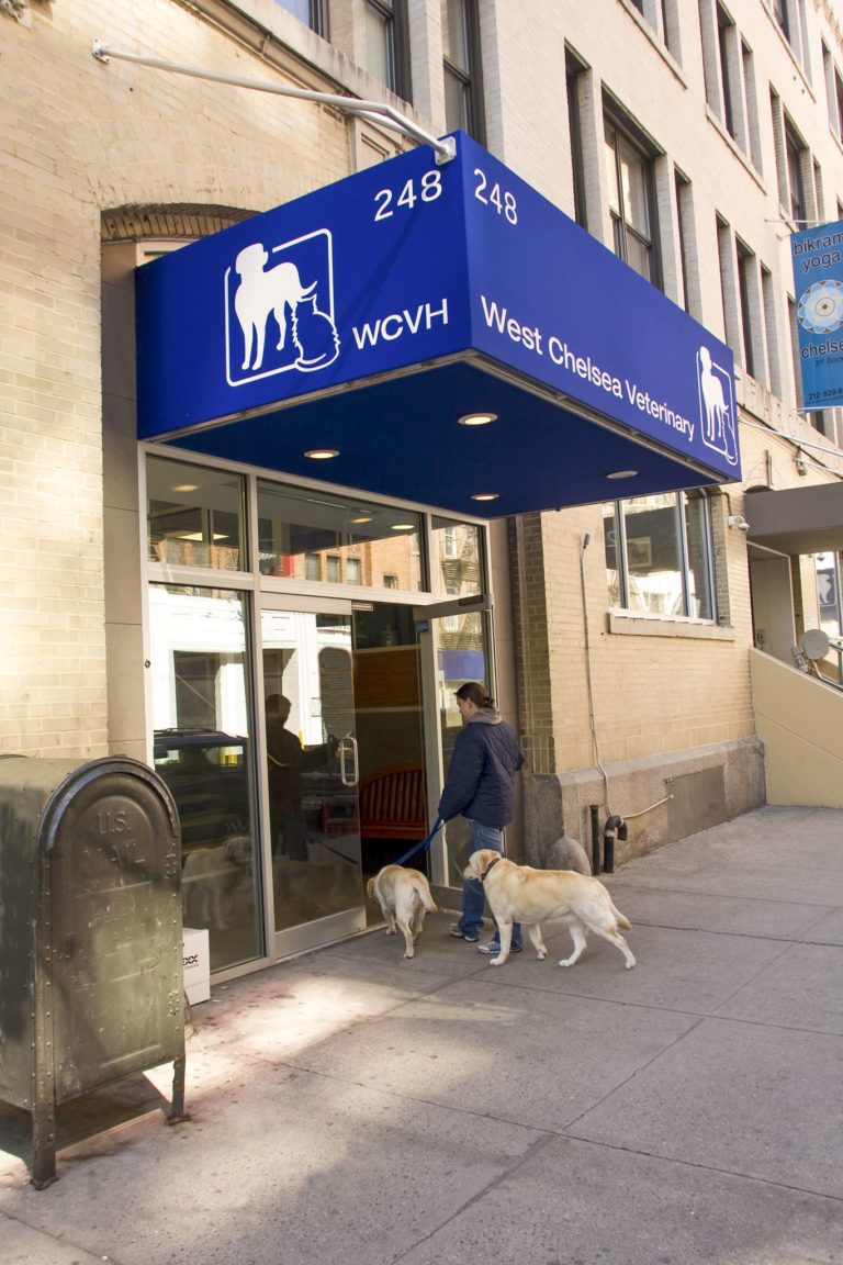 248westchelsea 768x1152