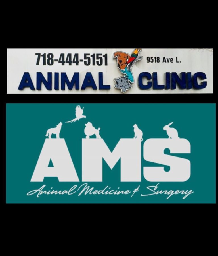 Animalclinic 768x900