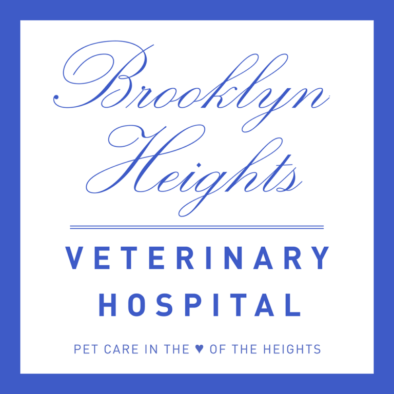 Brooklyn Heights Veterinary Hospital Dog Treat Smart