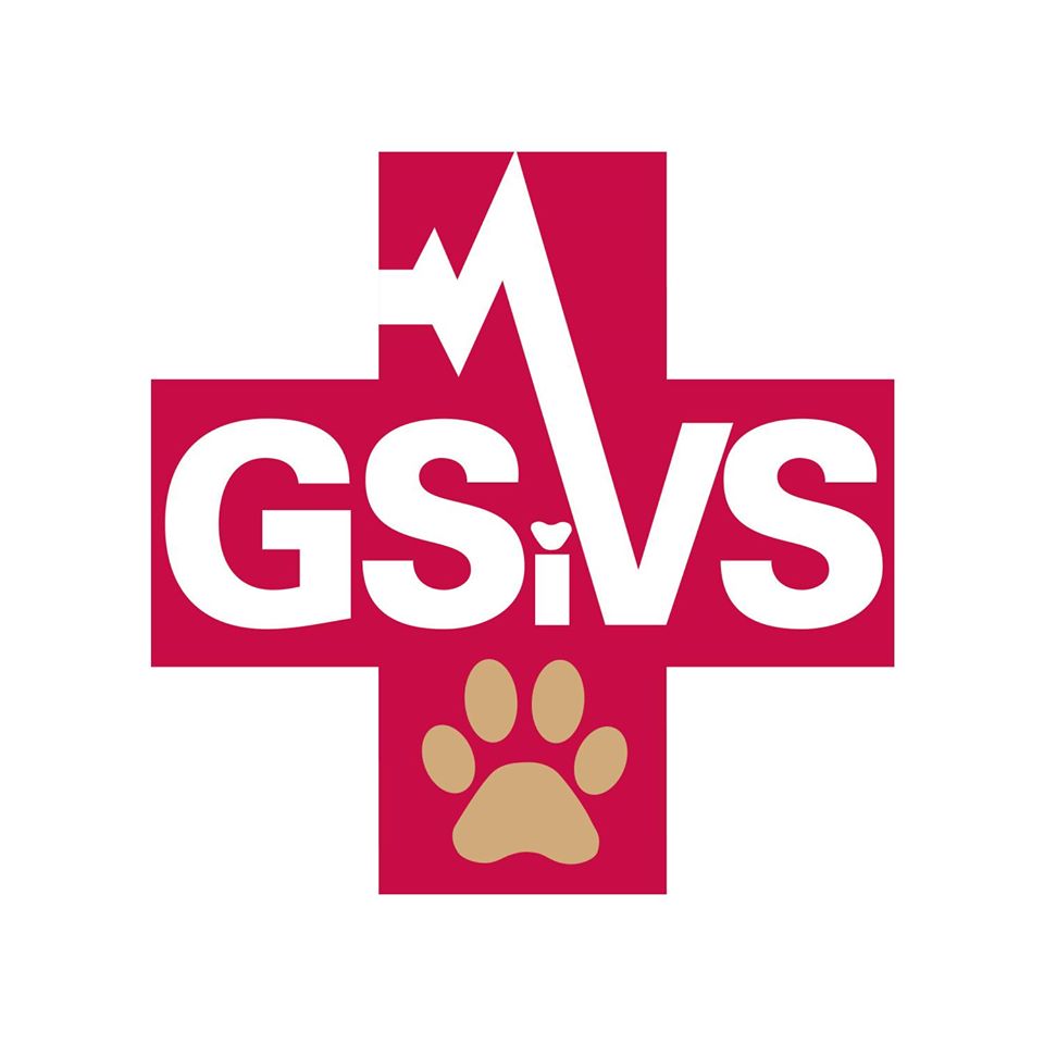 Greater Staten Island Veterinary Services Dog Treat Smart Greater Staten Island Veterinary Services Dog Treat Smart