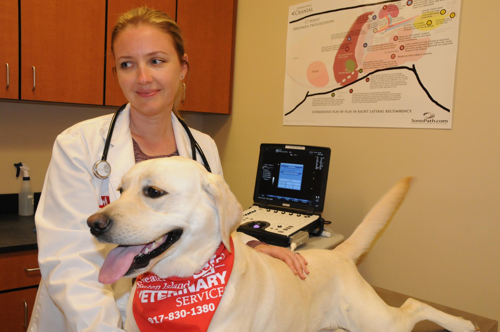 Greater Staten Island Veterinary Services Dog Treat Smart