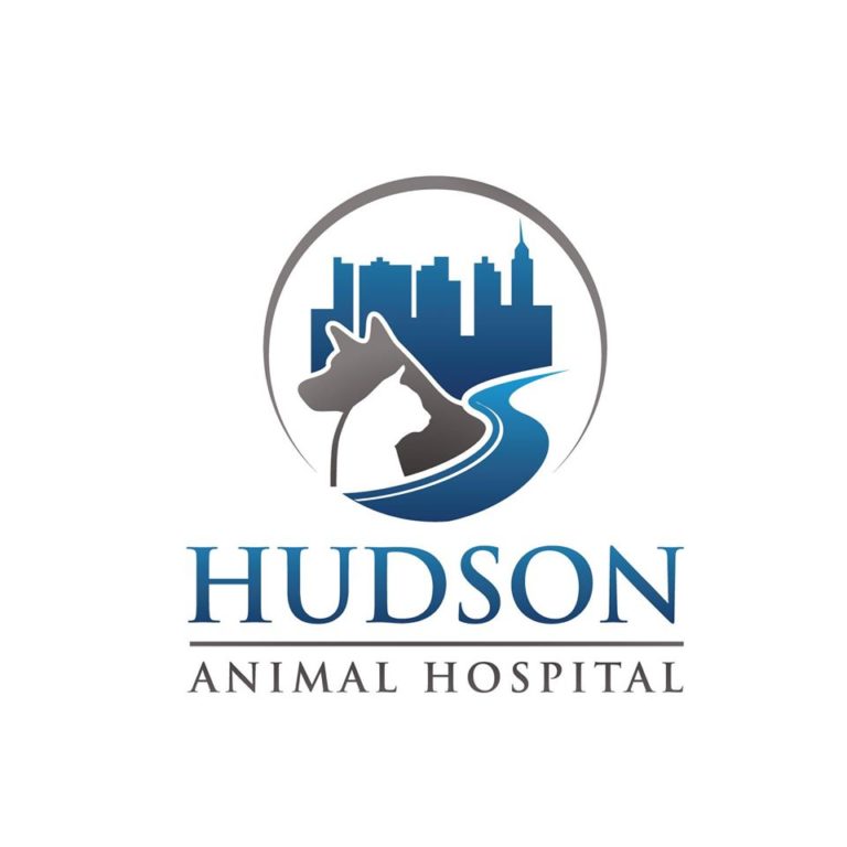 HudsonNews 768x768