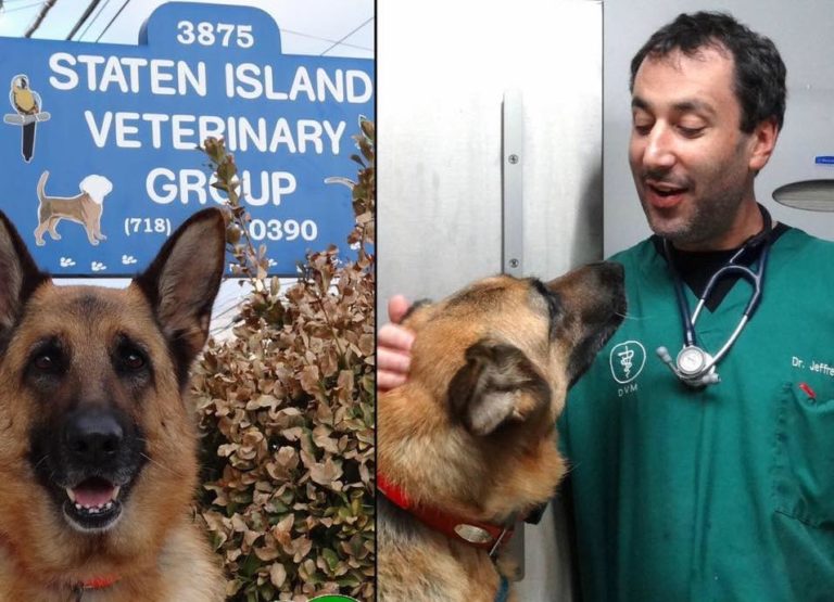 StatenIsland 768x555