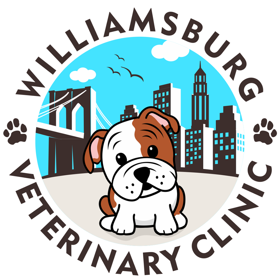 Williamsburg Veterinary Clinic Dog Treat Smart