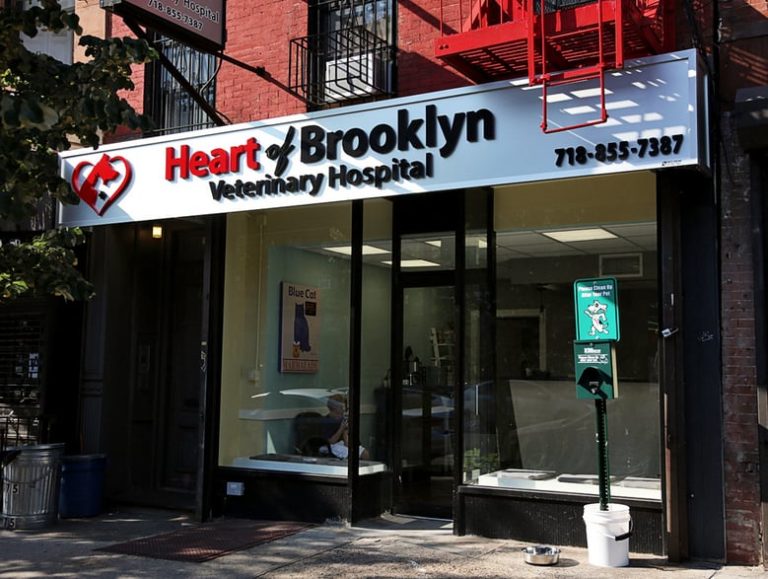 heartofbrooklyn1 768x579
