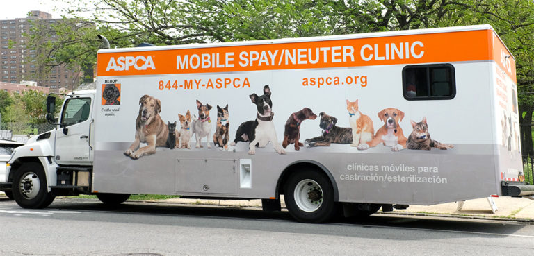 nyc adoption center mobile sn main image r082019 768x369
