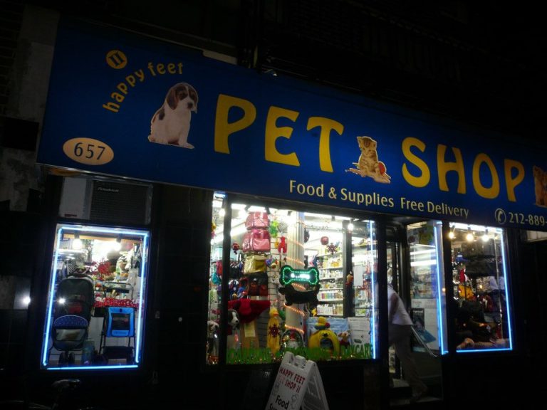 petshop2 768x576