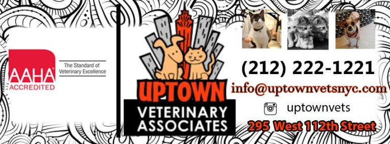 uptownvet 768x284