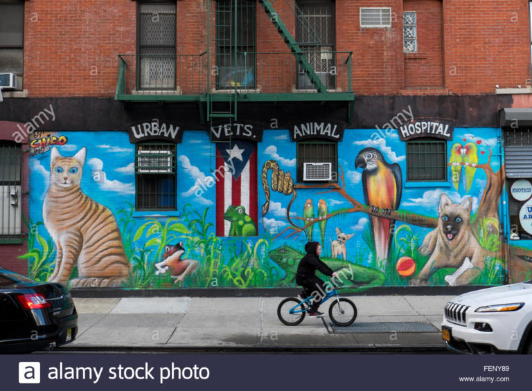 urban vets animal hospital east village nyc FENY89 768x565