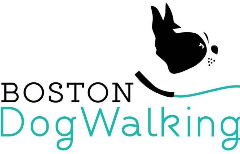bostondogwalking 768x495