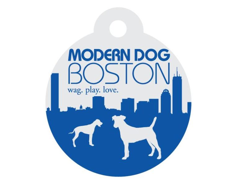 moderndogboston 768x593