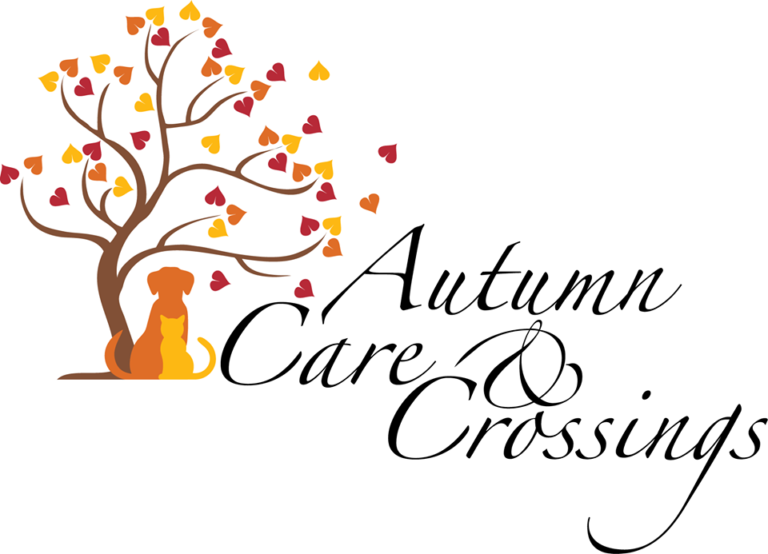 Autumncarecrossing 768x554