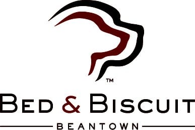 BedBisuit